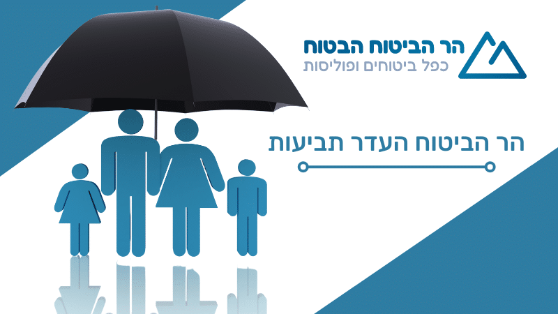 הר הביטוח - טופס העדר תביעות: המפתח לחיסכון בביטוח הרכב