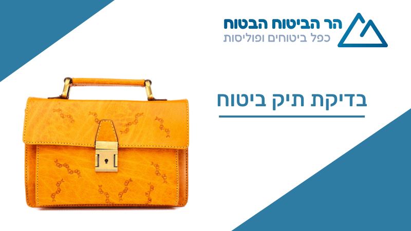 בדיקת תיק ביטוח