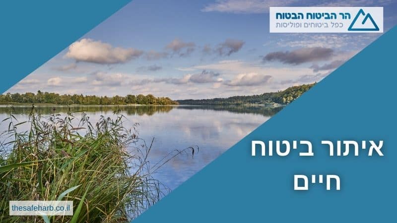 איתור ביטוח חיים (ריסק)