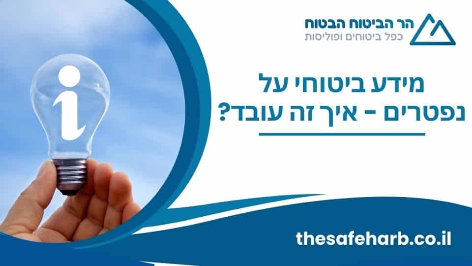 מידע ביטוחי על נפטרים - איך זה עובד