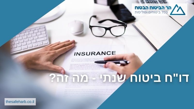 דוח ביטוח שנתי - מה זה
